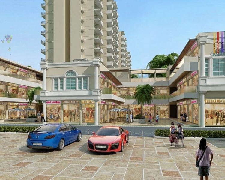 Signature Signum 81 Key Features