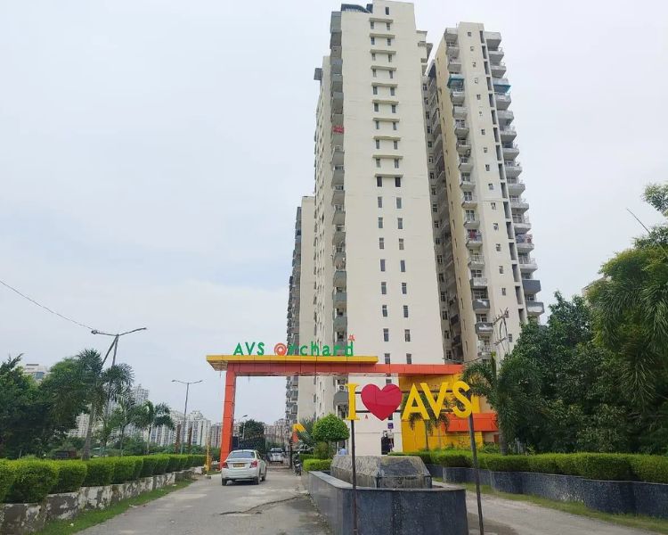 AVS Orchard Sector 77 Noida Key Features