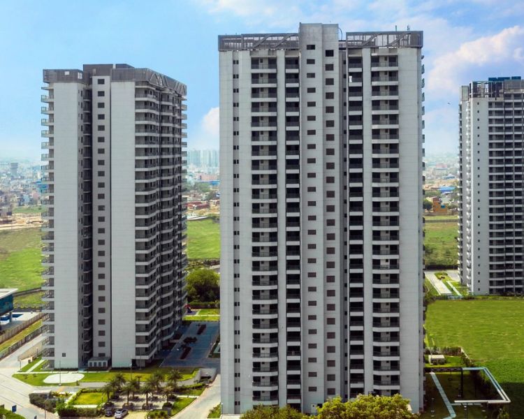 Paras Dews Key Features