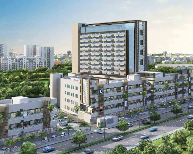 Orris Market 89 Key Features