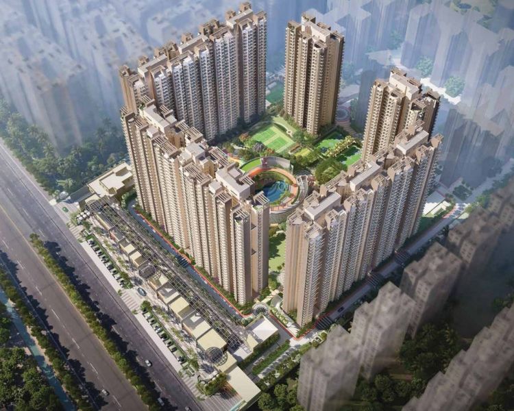 Sam Palm Olympia Key Features