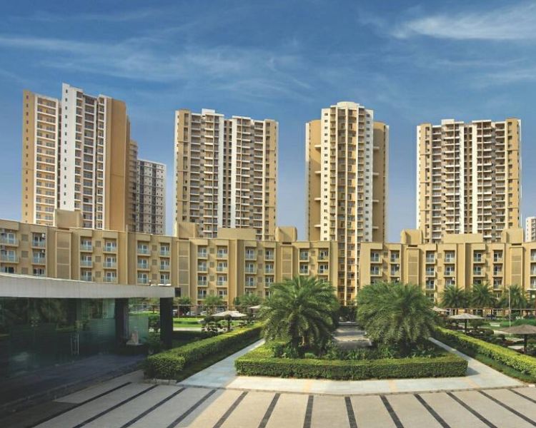 Paras Tierea Key Features