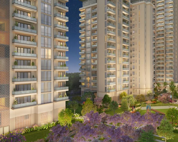 Ace Starlit Key Features