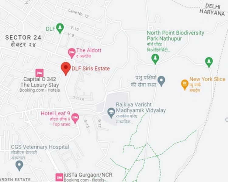 DLF Siris Estate Sector 24 Location Map