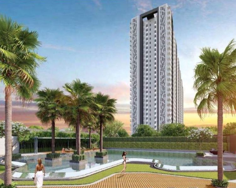 Tulip Yellow Key Features