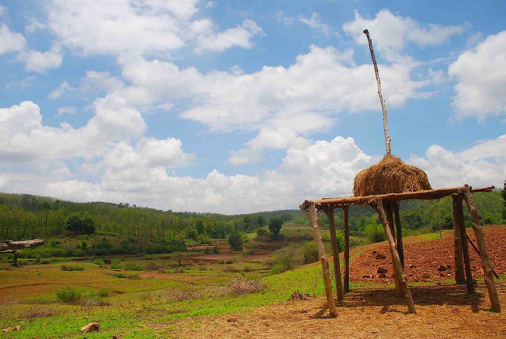 Surguja